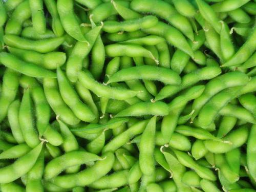 如何對速凍蔬菜進行打包？